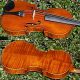 Antique Czech Violin - Ladislav F.  Prokop,  Chrudim,  1917.  Tone & Build String photo 7