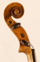 Old Fine Violin Postiglione 1873 Geige Violon Violino Violine Viola ヴァイオリン 小提琴 String photo 6