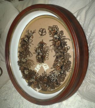 X Large Antique 1800 ' S Victorian Mourning Hair Wreath Deep Oval Shadow Box Frame photo
