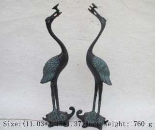 A Pair Ancient Chinese Bronze Red - Crowned Cranes Best Statue Nr photo