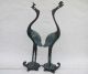 A Pair Ancient Chinese Bronze Red - Crowned Cranes Best Statue Nr Other Antique Chinese Statues photo 1