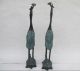 A Pair Ancient Chinese Bronze Red - Crowned Cranes Best Statue Nr Other Antique Chinese Statues photo 2