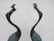 A Pair Ancient Chinese Bronze Red - Crowned Cranes Best Statue Nr Other Antique Chinese Statues photo 4