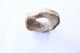 Anicent Clam Shell Wealth Ring - Solomon Islands 1960 ' S Pacific Islands & Oceania photo 1