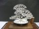 The Tree Of The Pine Of Virgin Silver.  Bonsai Tree.  A Work Of Mitunori. Other Antique Sterling Silver photo 5