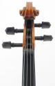 Fine,  Italian,  Antique 4/4 Old Violin String photo 1