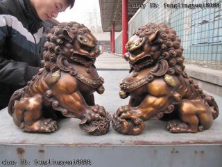 Chinese Classical Bronze Copper Evil Guardian Door Bei Jing Fu Foo Dog Lion Pair photo