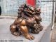 Chinese Classical Bronze Copper Evil Guardian Door Bei Jing Fu Foo Dog Lion Pair Foo Dogs photo 2