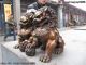 Chinese Classical Bronze Copper Evil Guardian Door Bei Jing Fu Foo Dog Lion Pair Foo Dogs photo 3