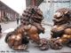 Chinese Classical Bronze Copper Evil Guardian Door Bei Jing Fu Foo Dog Lion Pair Foo Dogs photo 4