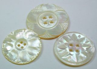 3 Antique Carved Mop Shell Buttons Pretty Flower Designs 1 
