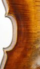 , Old,  18th Century Antique Violin By Friedrich August Glass - String photo 7