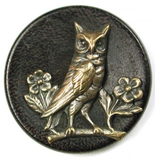 Antique Button Brass Owl & Flowers Perched On Cupped Wood Back - 1 & 3/16 