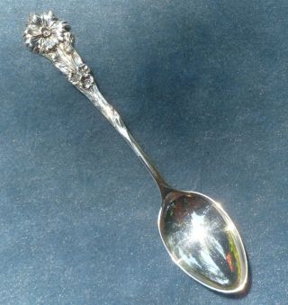 1958 Harlequin Bachelor Button Spoon Sterling Silver Reed & Barton photo
