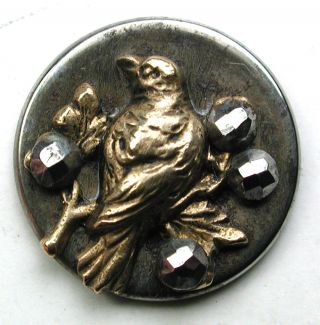 Antique Button Brass Bird W/ Cut Steel Accents On Steel Back - 9/16 