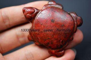 Chinese Hongshan Culture Old Jade Carved Tortoise Amulet Pendant Jp11 photo
