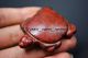 Chinese Hongshan Culture Old Jade Carved Tortoise Amulet Pendant Jp11 Necklaces & Pendants photo 1
