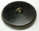Lg Sz Antique Tinted Brass Button Fox & Grapevine Fable Design - 1 & 5/16 