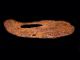 Extremely Rare Huge Roman Period Iron Horse Shoe,  Top Quality, Roman photo 1