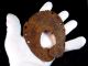 Extremely Rare Huge Roman Period Iron Horse Shoe,  Top Quality, Roman photo 4