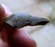 C.  5,  000 Bc,  Mesolithic Flint Tools,  From Bedfordshire. Neolithic & Paleolithic photo 6