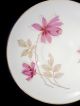 Bone China Made In England Cup And Saucer White/pink/taupe/gold Cups & Saucers photo 4