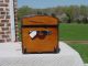 Antique Trunk Circa 1850 ' S 1860 ' S 150 Years Old 1800-1899 photo 7