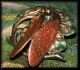 Cicada Bug Sitting On 4 Leaf Clover Hand Painted Enamel Brass Studio Button Buttons photo 3