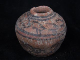 Ancient Teracotta Painted Pot With Animals Indus Valley 2500 Bc Pt15 photo