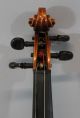 Antique 4/4,  After Jacobus Stainer,  Figured Maple German Violin,  Nr String photo 3