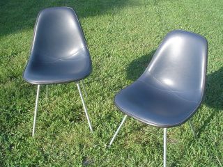 Herman Miller Eames Dark Blue Padded Griege Fiberglass Side Shell Chair Sharp photo