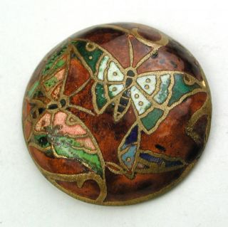 Antique Champleve Enamel Dome Button W Butterflies So Gorgeous 13/16 