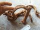 Very Rare Old Ancient Forged Viking Shackles On A Foot. Viking photo 3
