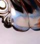 Pretty Floral Shell Shaped Lunt Nut Cup (s) Other Antique Sterling Silver photo 3