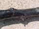Antique Irish Blackthorn Shillelagh Walking Stick,  Cane Blackthorn,  Tip Primitives photo 2
