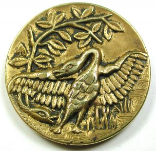 Antique Brass Button Spread Winged Eagle W Snake At His Feet 1 & 1/4 Inch photo