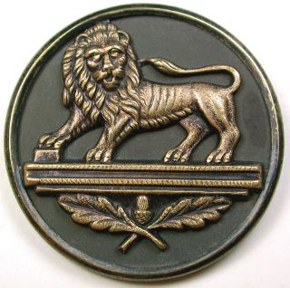 Antique Brass Button Lgsz Lion & Acorn Oak Leaf 1 & 5/8 