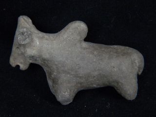 Ancient Teracotta Bull Indus Valley 1000 Bc Tr15327 photo