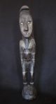 Powerful 65 Cm Ancestor Spirit Figure Sawos People: Sepik Guinea Cult Statue Pacific Islands & Oceania photo 1