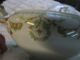 B&h Limoges Covered Gravy/sauce Boat With Underplate Circa 1800 