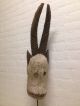 Cameroon: Old & Rare Tribal African Bamun Animal Mask. Masks photo 1