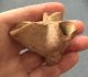 Roman.  Unusual Terracotta Three Spout Oil Lamp.  From The Holy Land. Roman photo 1