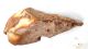 Flintstone Core Resembles Nosed Hand Axe Neanderthal Age Paleolithic Neolithic & Paleolithic photo 11
