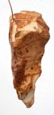 Flintstone Core Resembles Nosed Hand Axe Neanderthal Age Paleolithic Neolithic & Paleolithic photo 5