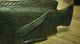 Antique Native American Carved Fish.  Hardwood Carving,  Hand Made,  One Of A Kind Native American photo 2