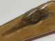 Rare Antique Vintage Heron Woodpecker Bird Head Brass Door Knocker - Italy Door Bells & Knockers photo 1