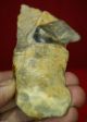Upper Palaeolithic,  Very Large Shouldered Point,  Spearhead C12 - 15k,  A02 British photo 2