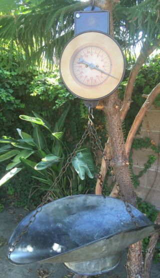 Vintage Antique 24 Lb.  Capacity Hanging Scale And Metal Pan C.  1920 ' S photo