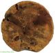 Stool 10 Inch Guinea African Art Other African Antiques photo 4