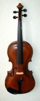 Probably Milanese Handmade 4/4 Master Violin - Labeled Giovanni Grancino String photo 3